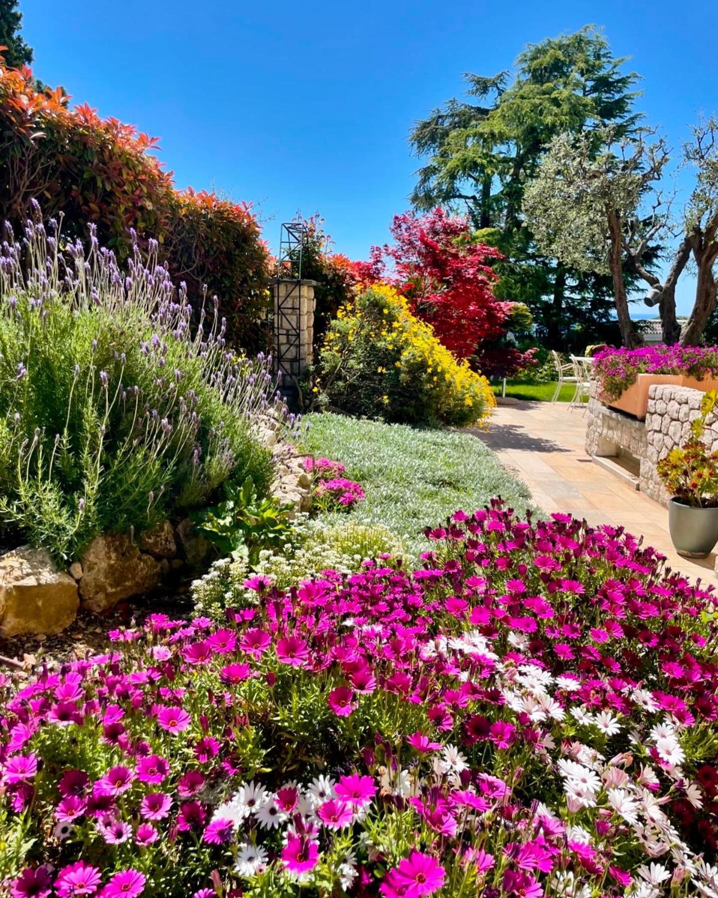 בורדיגרה Villa Gaia - Luxury Villa, Pool & Wellness Rooms מראה חיצוני תמונה